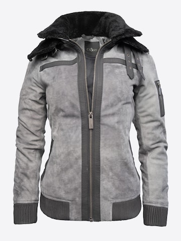 Crone Winter Jacket 'TALVI ELEPHANT' in Grey: front