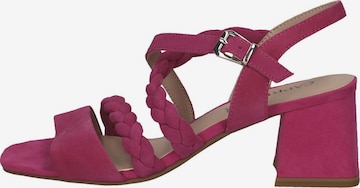 CAPRICE Sandals in Pink