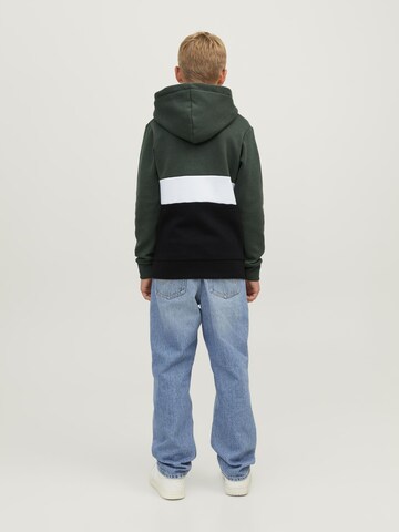 Jack & Jones Junior Sweatshirt 'JJEReid' in Grün