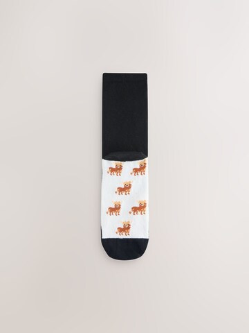Next Socken in Schwarz