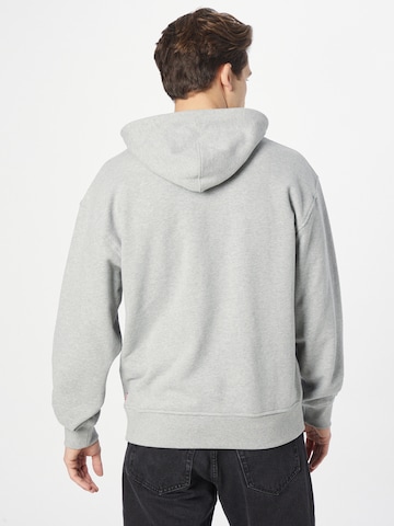 LEVI'S ® Regular fit Sweatshirt 'Relaxed Graphic Hoodie' in Grey
