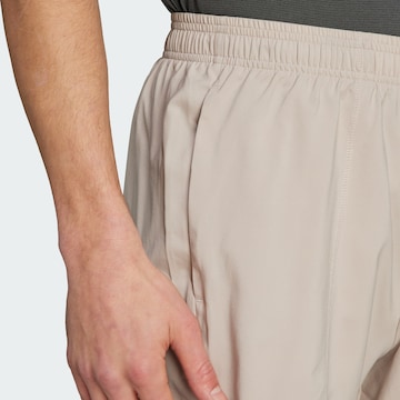 ADIDAS TERREX Regular Outdoor Pants 'Multi' in Beige