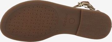 GEOX Sandalen 'Karly' in Bruin