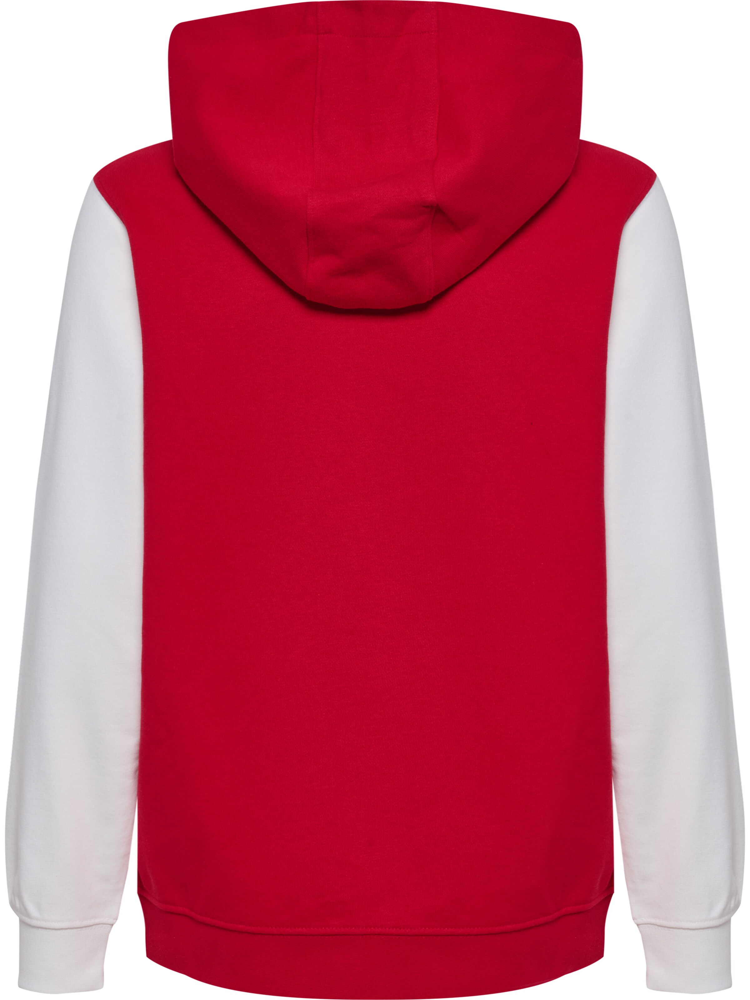 Hummel Sportief sweatshirt 'DBU 26 Fan' in Rood