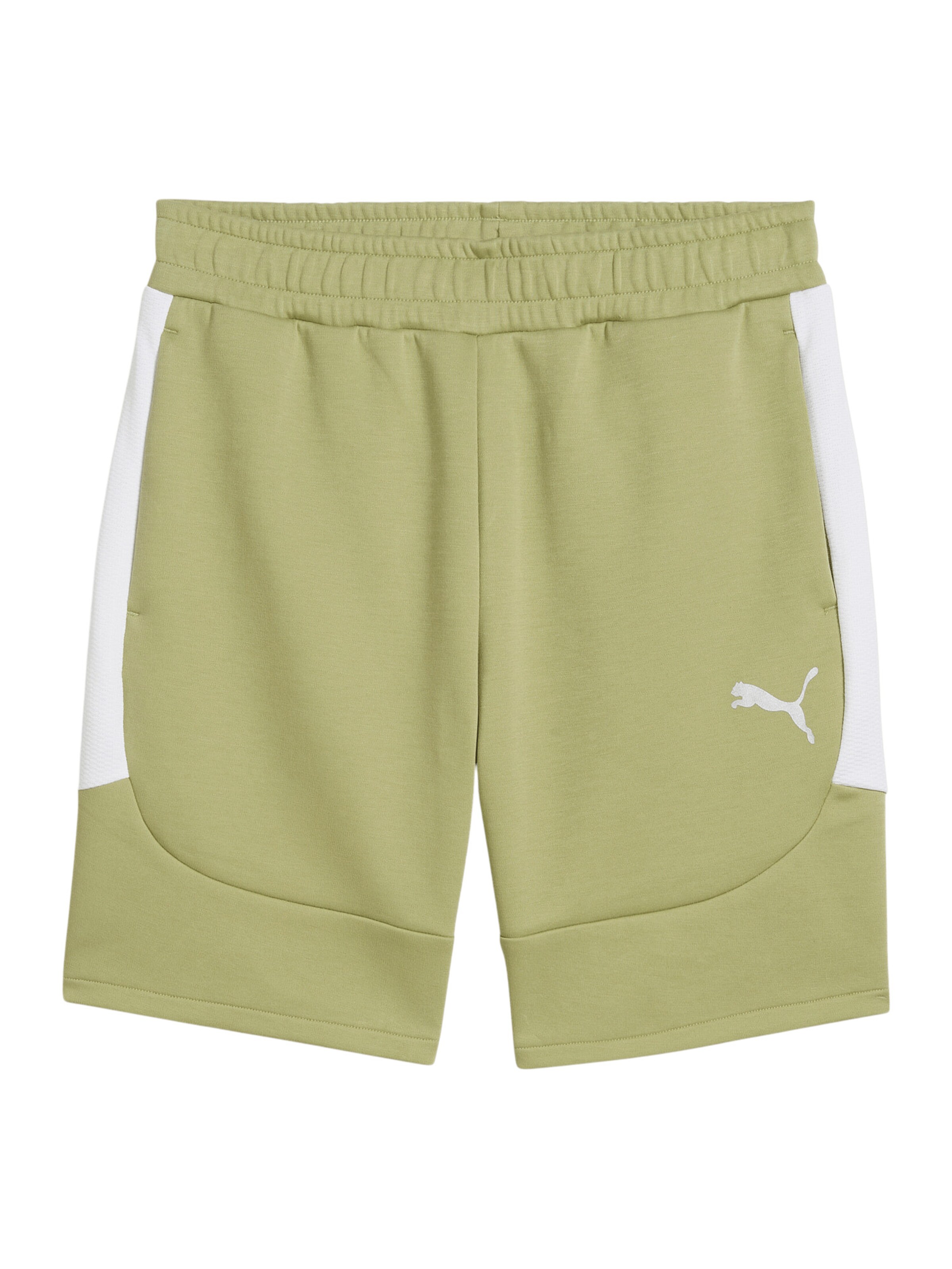 PUMA Sportshorts 'TeamEvostripe' in Grün: Vorderseite