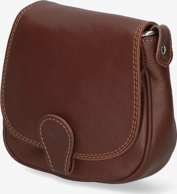 Gave Lux Crossbody Bag in Brown