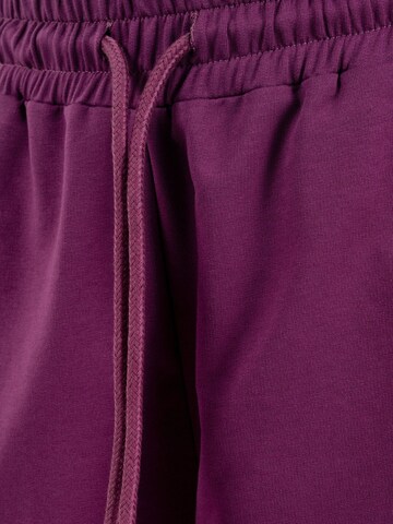 Smilodox Regular Broek in Lila