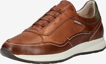 Baskets basses PIKOLINOS en marron : devant