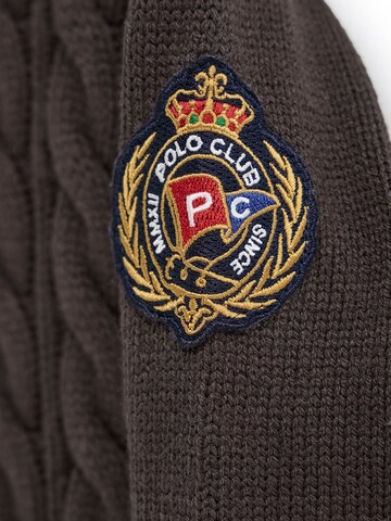 Polo Club Pullover in Braun