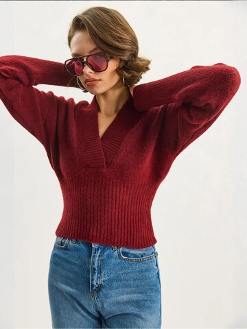 Bianco Lucci Pulóver 'Pullover' - piros