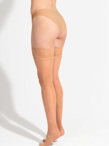 JOOP! Fijne panty's in Goud