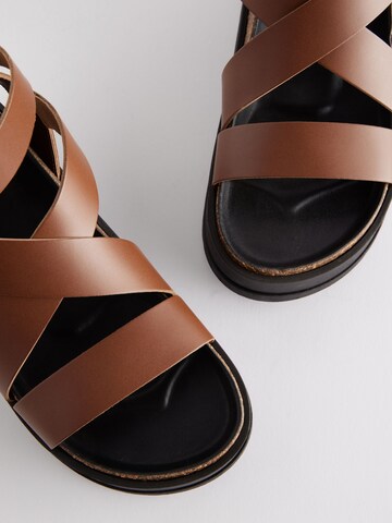 Next Sandal in Brown