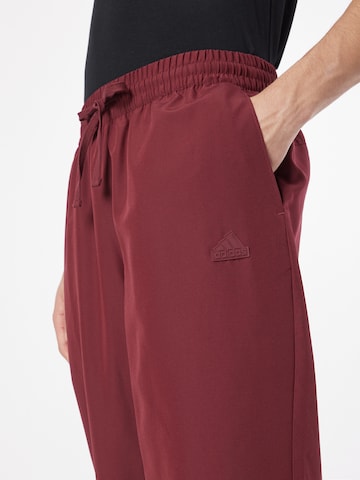 ADIDAS PERFORMANCE - Tapered Calças de desporto 'FC Bayern München' em vermelho