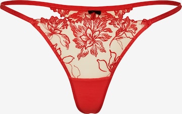 BluebellaTanga gaćice 'Samara' - crvena boja: prednji dio