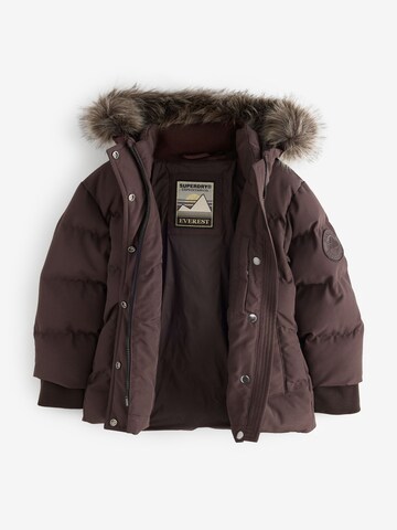 Superdry & Co - Chaqueta de invierno en marrón