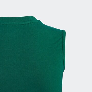 ADIDAS ORIGINALS Sweatshirt 'Coliate Graphic ' in Grün
