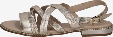 CAPRICE Sandalen met riem in Goud