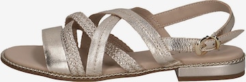 CAPRICE Strap Sandals in Gold