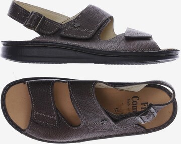 Finn Comfort Sandals & Slippers in 40 in Brown: front