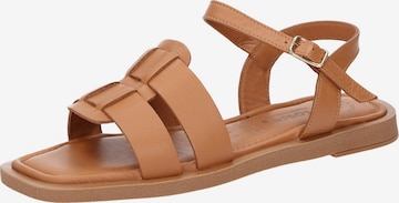 Sandales à lanières 'Molsirka-702' SIOUX en marron : devant