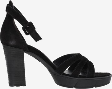 Paul Green Sandals '7930' in Black