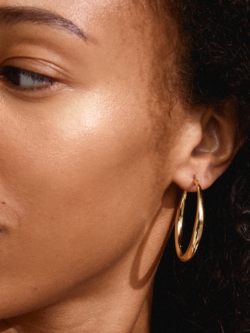 Pilgrim Earrings 'Jorun' in Gold