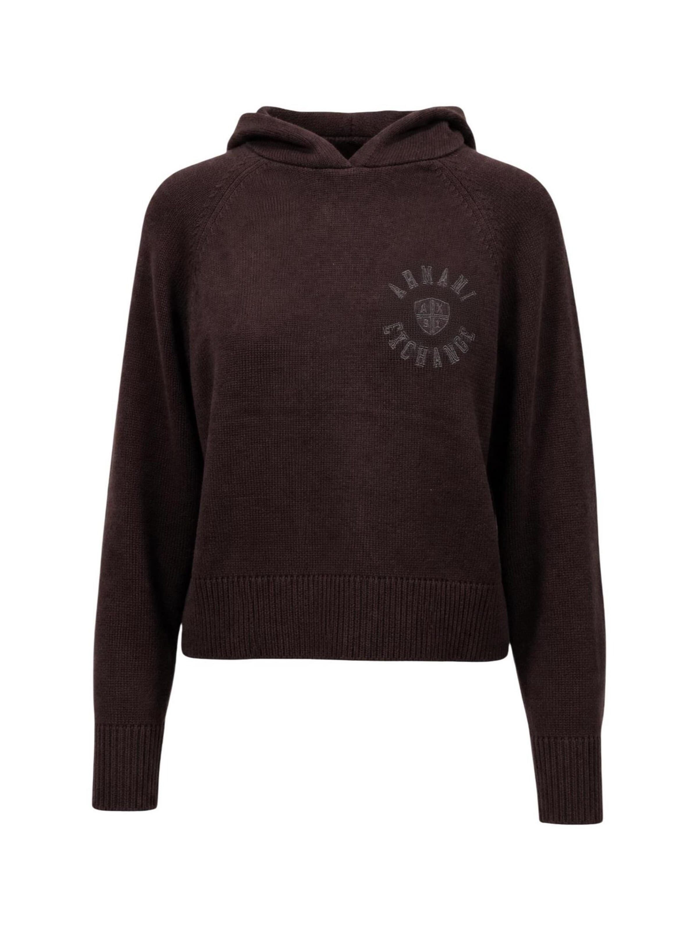Pullover 'XW002879 AF16552' di ARMANI EXCHANGE in marrone: frontale