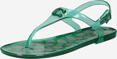 COACH Séparateur d'orteils 'Natalee' en vert, Vue avec produit