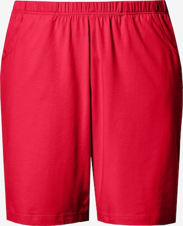Ulla Popken Hose in Rot: Vorderseite