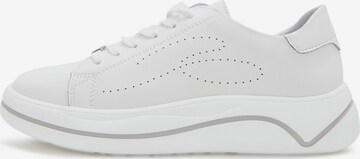 CESARE GASPARI Sneakers in White: front
