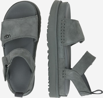 UGG Sandal 'Goldenstar' in Grey