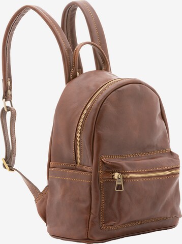 Viola Castellani Backpack in Brown: front