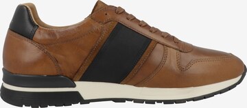 PANTOFOLA D'ORO Sneakers ' Sangano Uomo Low ' in Brown