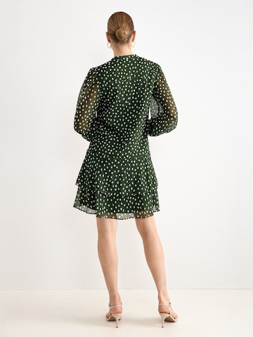Phase Eight Kleid in Grün: Rückseite
