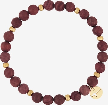 Tamaris Armband in Braun: Vorderseite