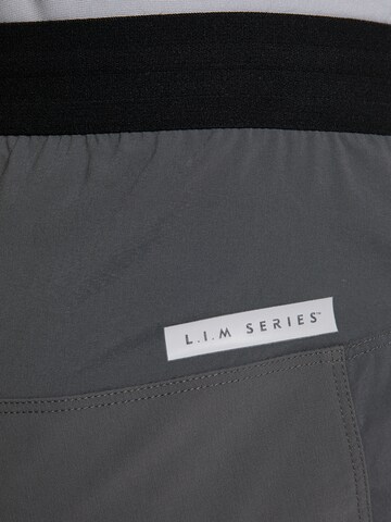 Haglöfs Regular Outdoor Pants 'L.I.M Rugged' in Grey