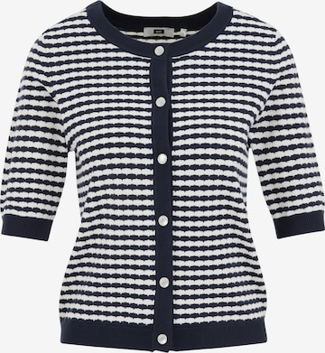 mėlyna WE Fashion Kardiganas: priekis