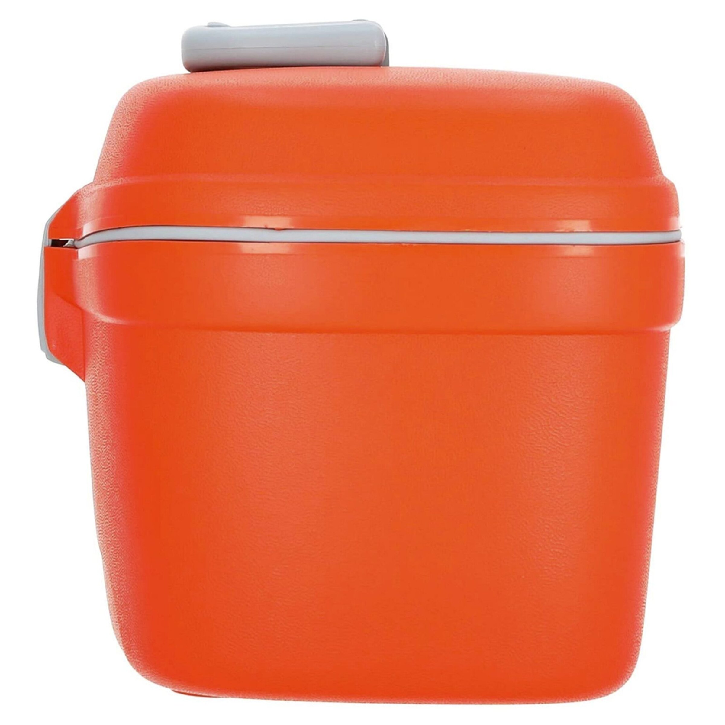 Roncato Cosmetic Bag in Orange