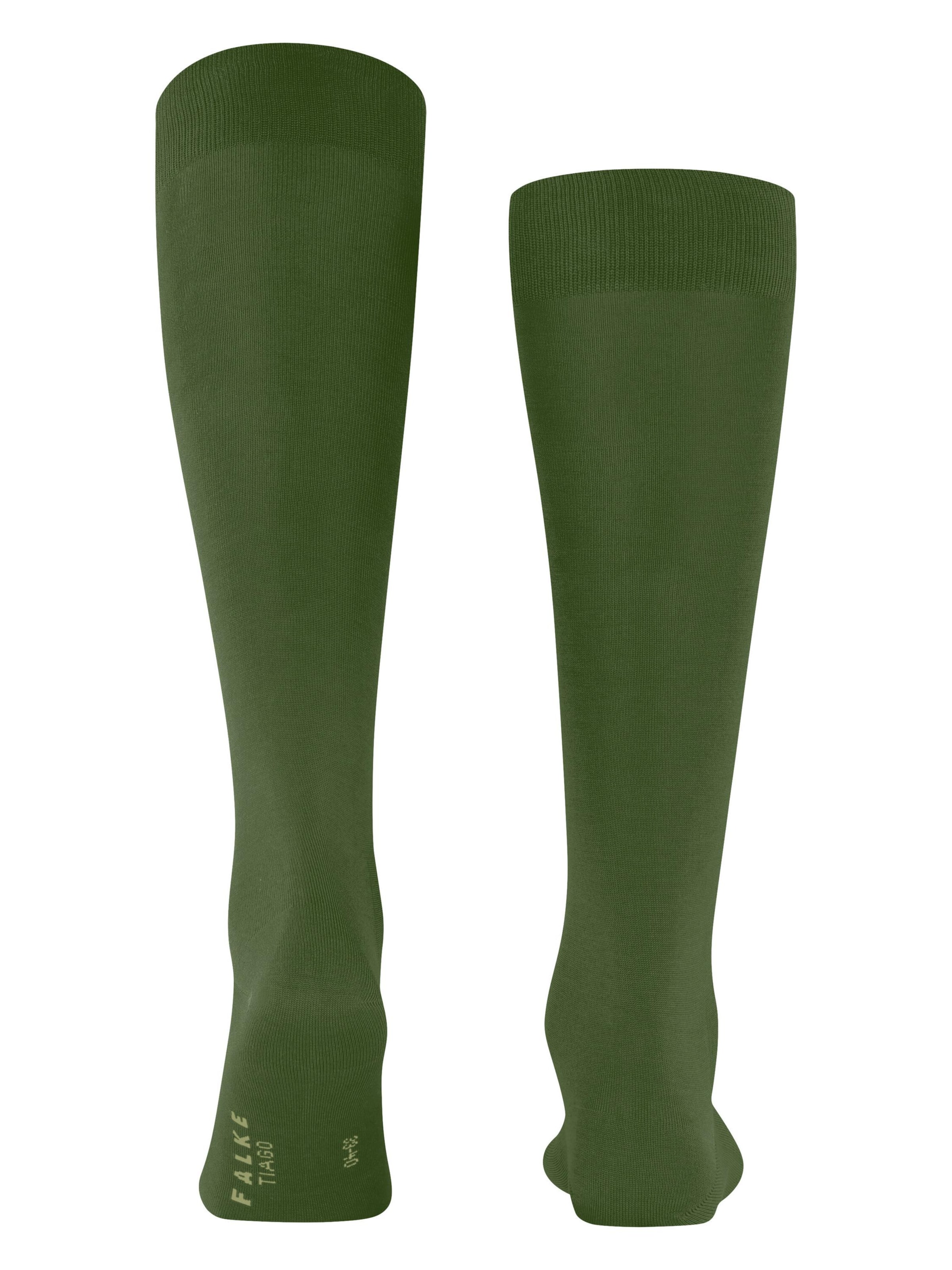 FALKE Knee High Socks 'Tiago' in Green