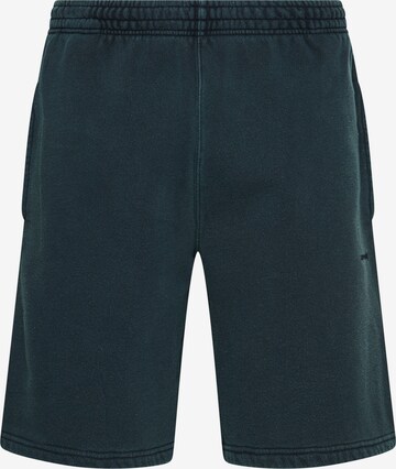 Superdry Pants in Green: front