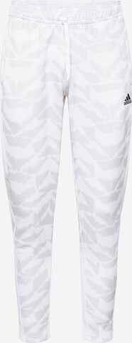 ADIDAS SPORTSWEAR Slim fit Workout Pants 'Tiro Suit-Up Lifestyle' in Grey: front