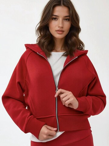 Sweat-shirt 'Kapuzenpullover' Hiccup en rouge