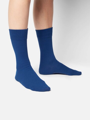 DillySocks Socks 'D-Compose 2er Set' in Blue