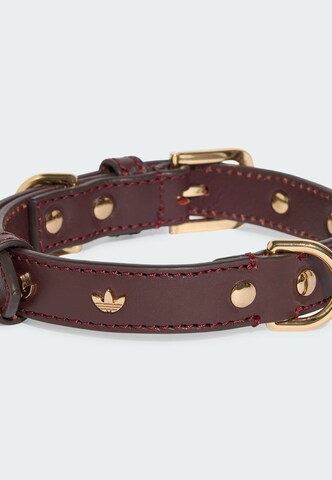 ADIDAS ORIGINALS - Acessórios para animais 'PET' em vermelho