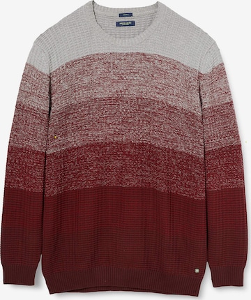 PIERRE CARDIN Sweater in Red: front