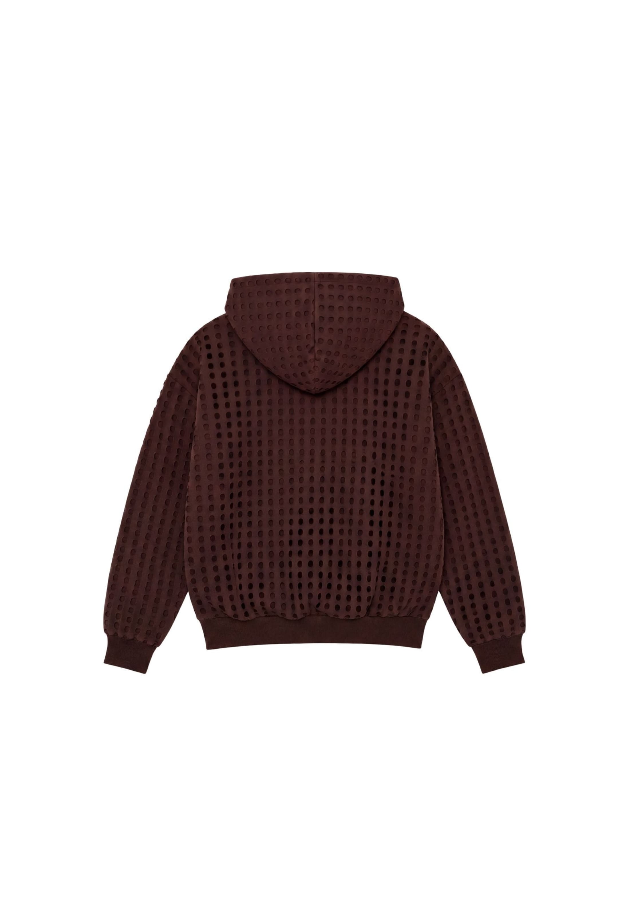 Colucci Sweatshirt 'College' in Bruin