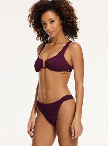 Shiwi Triangle Bikini 'CHLOE SCOOP' in Purple