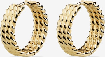 Guido Maria Kretschmer Jewellery Ohrringe in Gold: predná strana