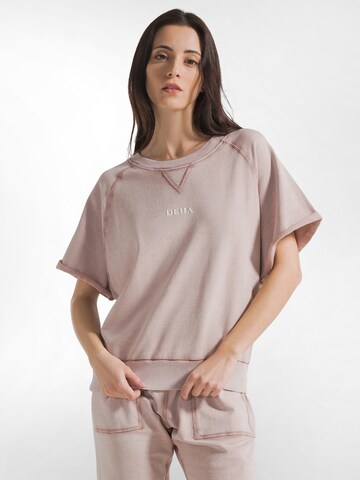 DEHA Sweatshirt in Brown: front
