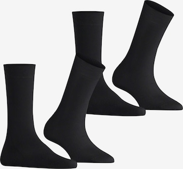 BURLINGTON Socken 'Everyday' in Schwarz